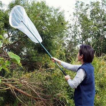 Woman with butterfly net